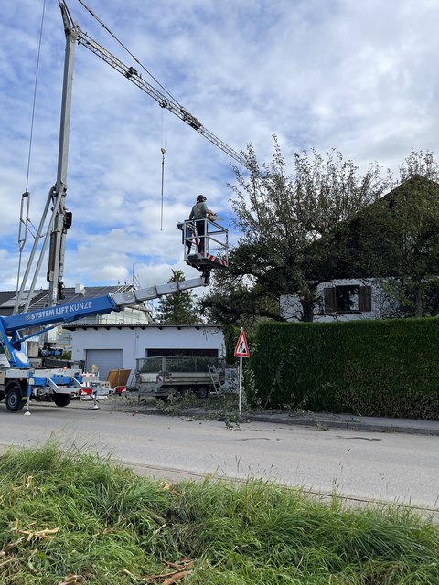 Hubarbeitsbühne bei der Baumpflege an einem Wohnhaus