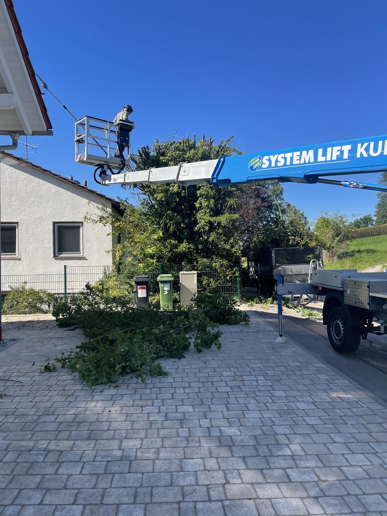 Schnittarbeiten und Astabtransport im Einfahrtsbereich