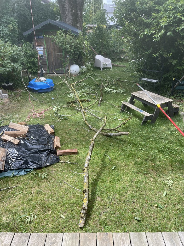 Geschnittene Äste nach der Baumpflege auf einer Rasenfläche